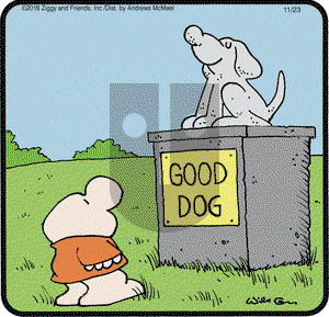 Ziggy on Friday November 23, 2018 Comic Strip