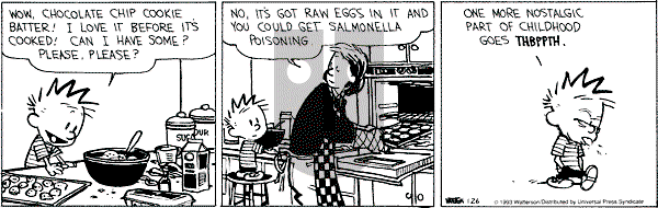 Calvin and Hobbes - Tuesday January 26, 1993 Comic Strip