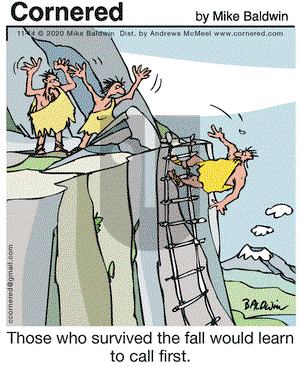 Cornered on Saturday November 14, 2020 Comic Strip