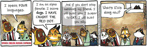 Breaking Cat News on Wednesday March 21, 2018 Comic Strip
