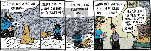Overboard on Friday January 8, 2021 Comic Strip