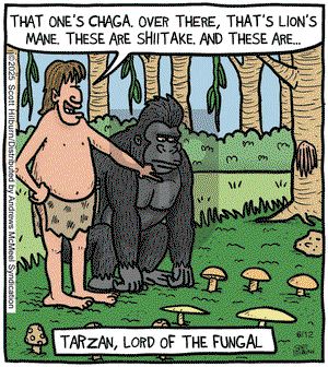 The Argyle Sweater on Thursday June 12, 2025 Comic Strip