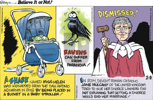 Ripley's Believe It or Not on Sunday February 9, 2020 Comic Strip