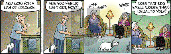 Pickles on Tuesday May 6, 2025 Comic Strip