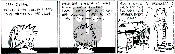 Calvin and Hobbes - Thursday December 16, 1993 Comic Strip