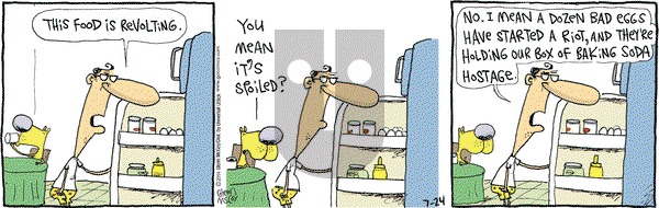 The Duplex on Thursday July 24, 2014 Comic Strip