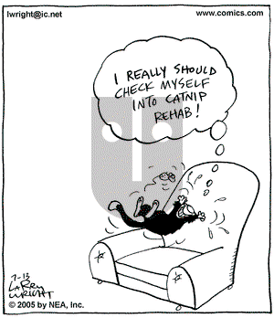 Kit 'N' Carlyle on Wednesday July 13, 2005 Comic Strip