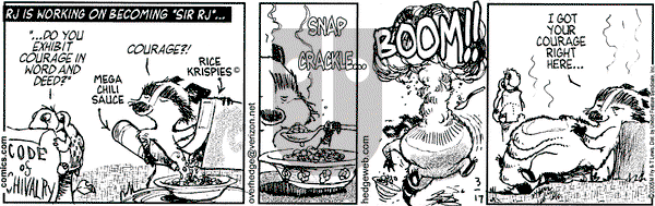 Over the Hedge on Thursday March 17, 2005 Comic Strip