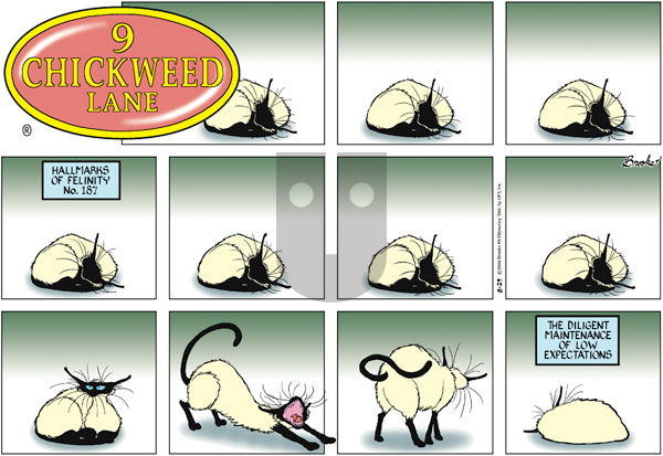 9 Chickweed Lane on Sunday August 29, 2004 Comic Strip