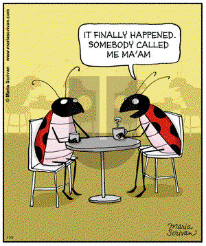 Half Full - Saturday November 9, 2013 Comic Strip