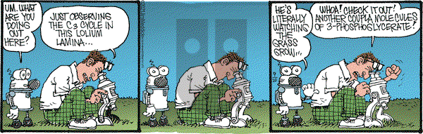 Monty on Monday September 20, 2021 Comic Strip