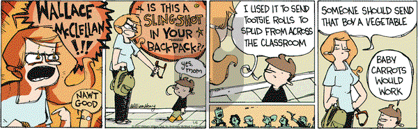 Wallace the Brave on Wednesday January 6, 2021 Comic Strip