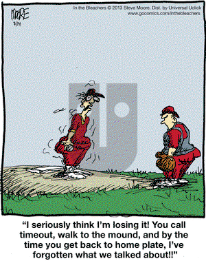 In the Bleachers on Wednesday August 14, 2013 Comic Strip