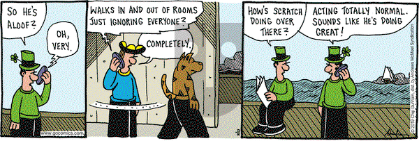 Overboard on Wednesday November 13, 2019 Comic Strip