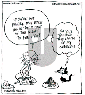 Kit 'N' Carlyle on Saturday July 1, 2006 Comic Strip