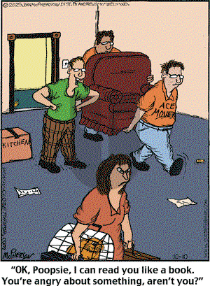 Close to Home on Friday October 10, 2025 Comic Strip