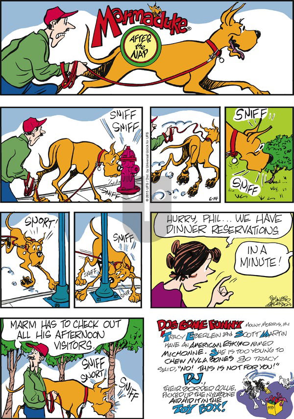 Marmaduke on Sunday June 14, 2015 Comic Strip