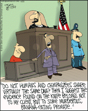 The Flying McCoys on Wednesday April 23, 2014 Comic Strip