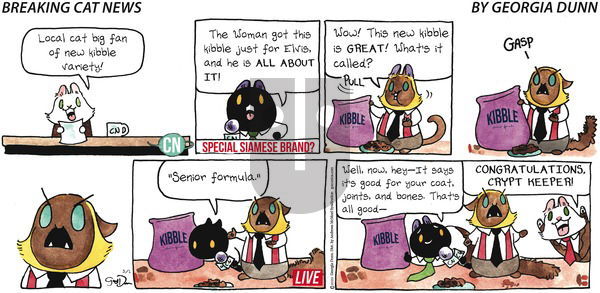 Breaking Cat News on Sunday March 1, 2020 Comic Strip