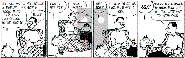 Calvin and Hobbes on Monday November 1, 1993 Comic Strip