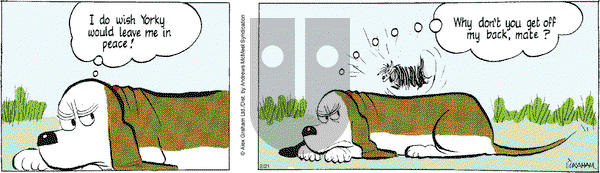 Fred Basset - Wednesday February 21, 2024 Comic Strip