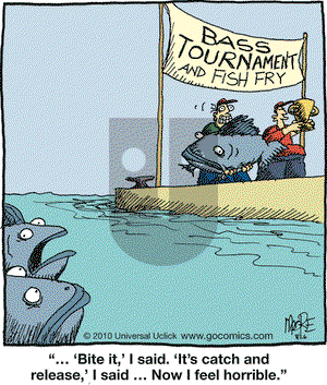 In the Bleachers on Thursday August 26, 2010 Comic Strip