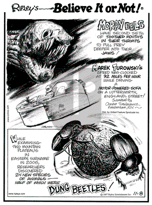 Ripley's Believe It or Not on Thursday November 8, 2007 Comic Strip