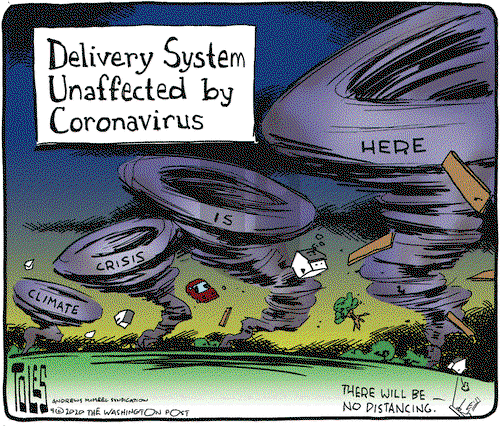 Tom Toles on Wednesday April 15, 2020 Comic Strip
