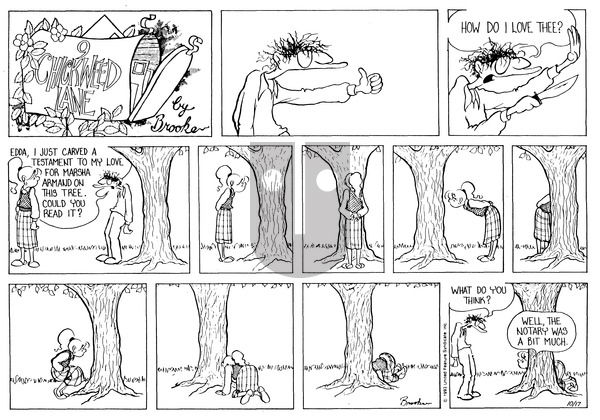 9 Chickweed Lane on Saturday September 21, 1996 Comic Strip