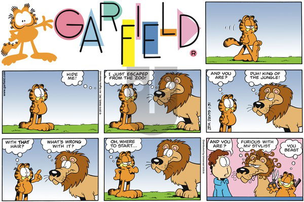 Garfield on Sunday January 31, 2010 Comic Strip