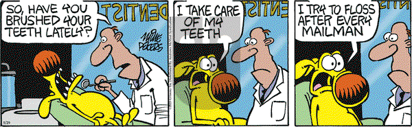 Mother Goose and Grimm on Thursday May 29, 2025 Comic Strip