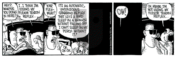 Monty on Thursday April 22, 2004 Comic Strip