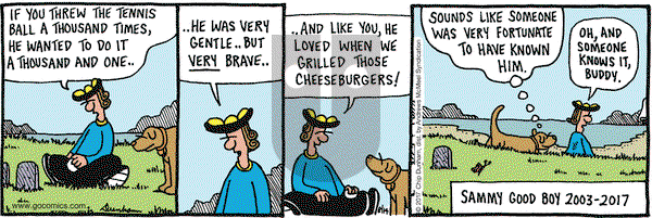 Overboard on Monday August 14, 2017 Comic Strip