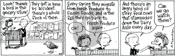 Cul de Sac on Monday June 2, 2008 Comic Strip