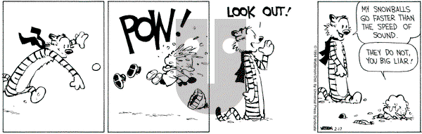 Calvin and Hobbes on Thursday February 17, 1994 Comic Strip