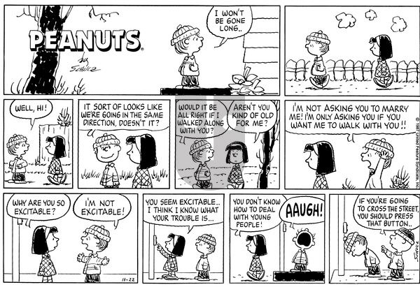 Peanuts on Sunday November 22, 1987 Comic Strip