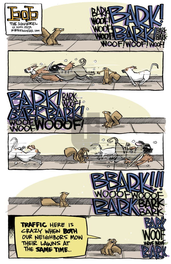 Bob the Squirrel on Sunday May 11, 2025 Comic Strip