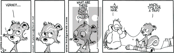 Over the Hedge on Wednesday February 20, 2002 Comic Strip