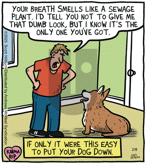 The Argyle Sweater - Saturday February 8, 2025 Comic Strip