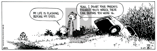 Calvin and Hobbes on Monday May 29, 1989 Comic Strip