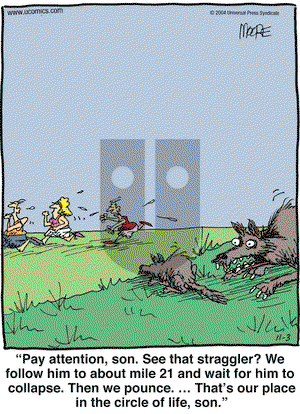In the Bleachers on Wednesday November 3, 2004 Comic Strip