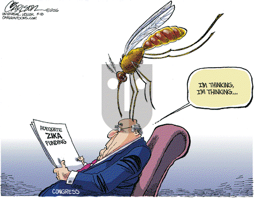 Stuart Carlson on Wednesday August 10, 2016 Comic Strip