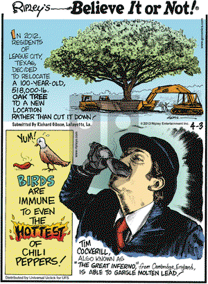 Ripley's Believe It or Not on Wednesday April 3, 2013 Comic Strip