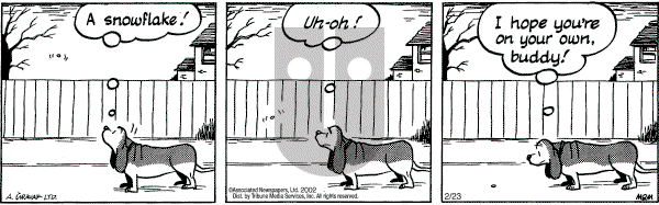 Fred Basset on Saturday February 23, 2002 Comic Strip