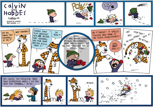 Calvin and Hobbes on Sunday December 13, 2015 Comic Strip