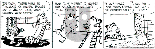 Calvin and Hobbes on Wednesday March 17, 1993 Comic Strip