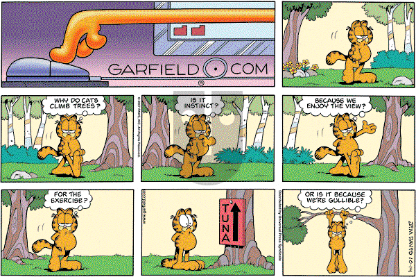 Garfield on Sunday December 2, 2007 Comic Strip