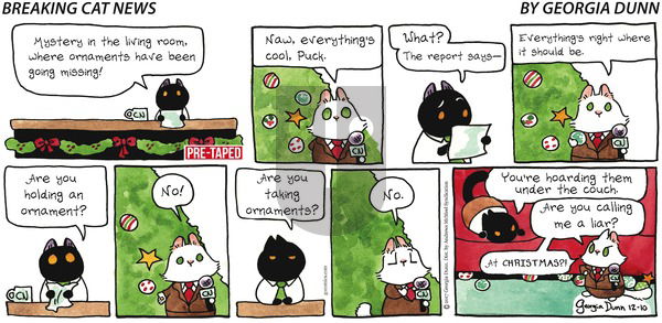 Breaking Cat News on Sunday December 10, 2017 Comic Strip