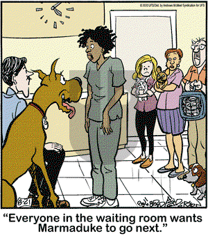 Marmaduke on Friday August 21, 2020 Comic Strip