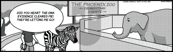 F Minus on Wednesday December 17, 2008 Comic Strip